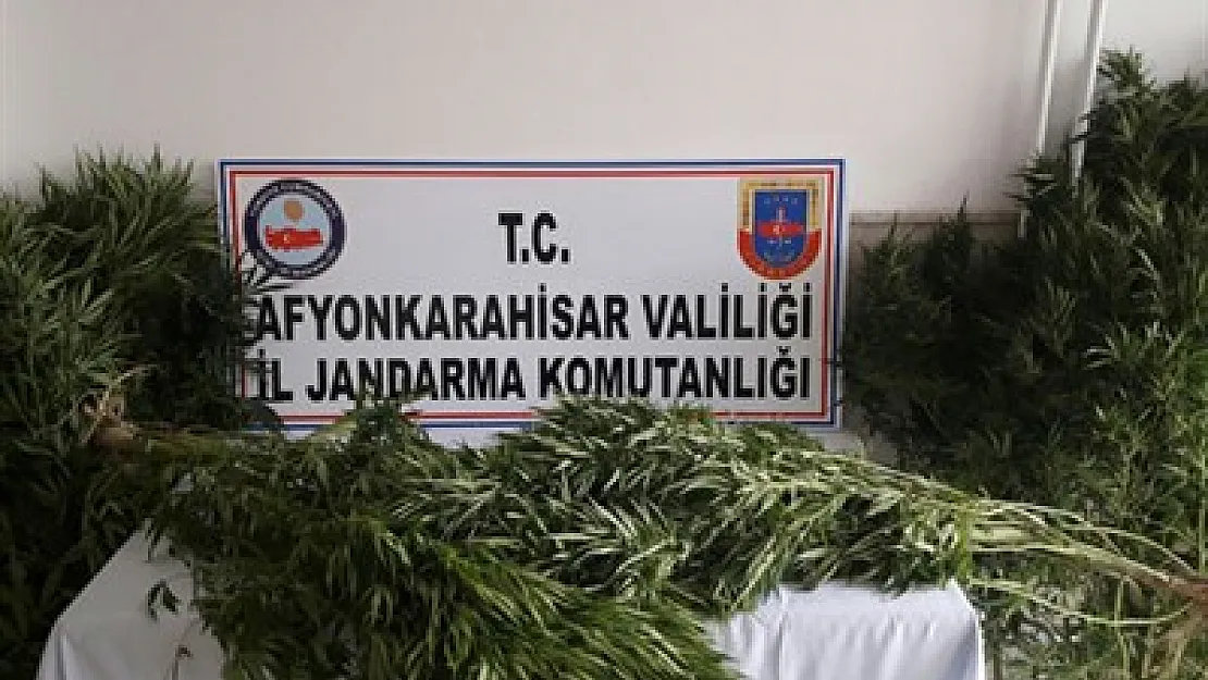 Jandarma, uyuşturucuya geçit vermiyor