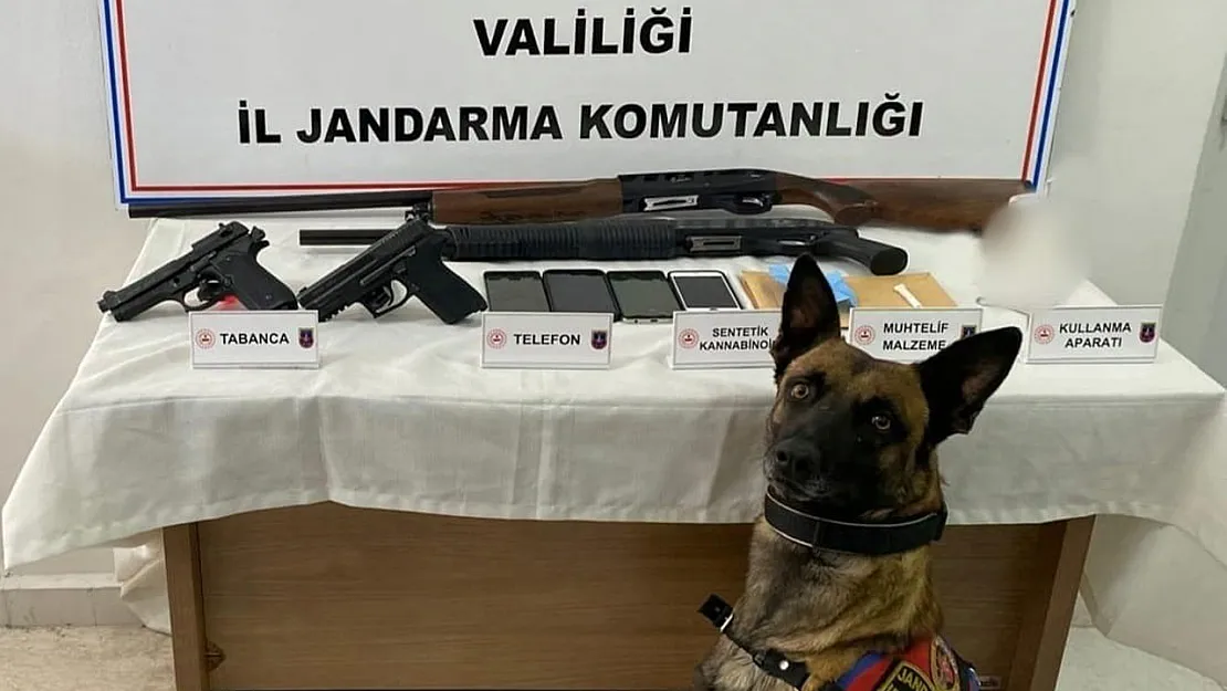 Jandarma, Zehir Tacirlerini Yakaladı