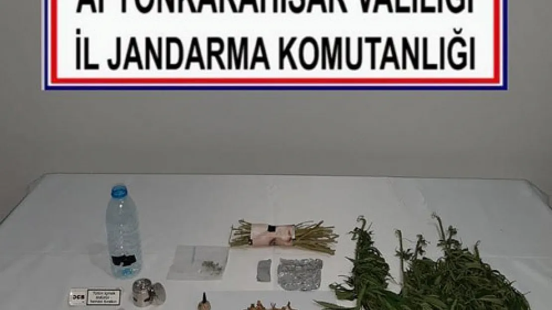 Jandarmadan uyuşturucu operasyonu