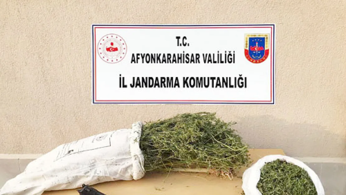 Jandarma'dan uyuşturucu operasyonu