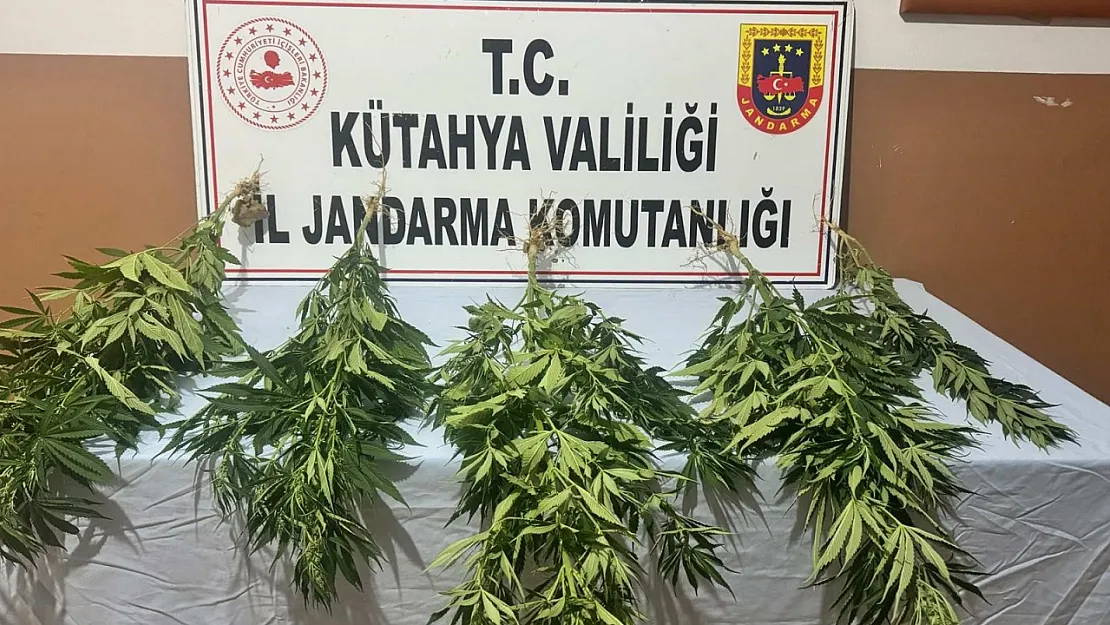Jandarmadan Uyuşturucu Operasyonu: 2 Gözaltı