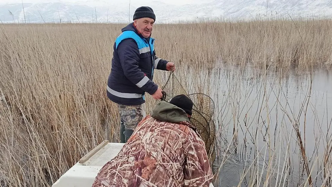 Kaçak avcılıkla mücadele devam ediyor