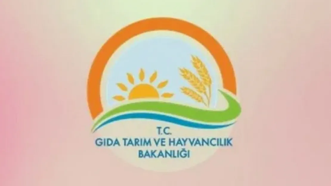 Kadın çiftçiler önce oynadı, sonra yarıştı