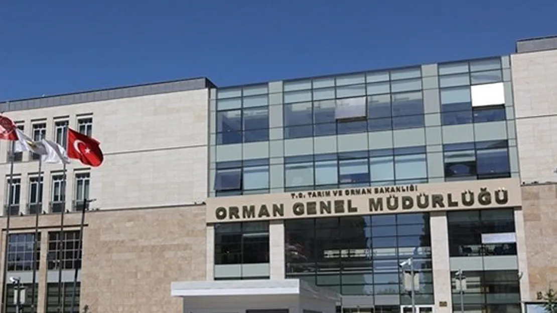 Karayolları 'yeşilyollar' oluyor – Kocatepe Gazetesi