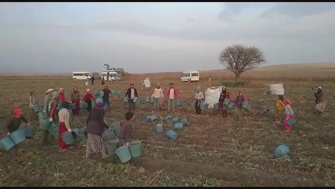 Kep atma değil, hasat sona erme töreni