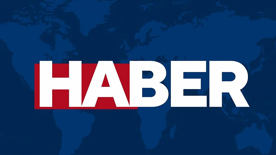 Kesilen ağacın altında kalan yaşlı adam hayatını kaybetti