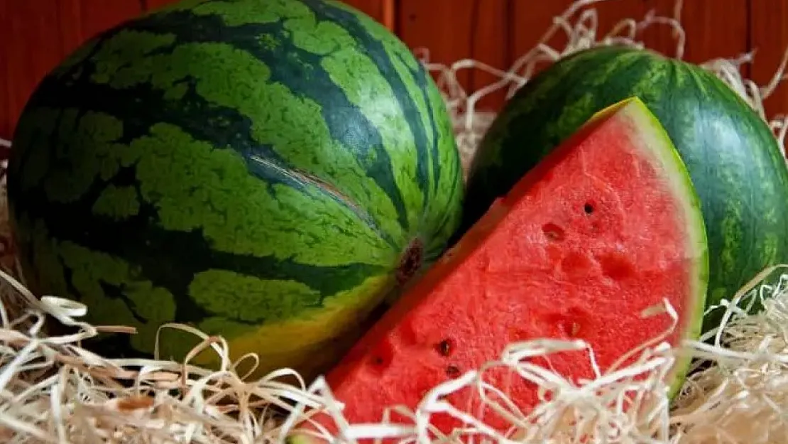 Kesmece Karpuz Nedir?