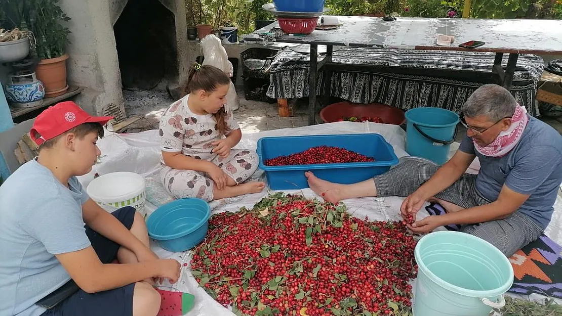 Kızılcık üretimi düştü, fiyatlar ikiye katlandı