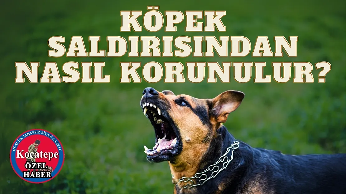 Köpek Saldırısından Nasıl Korunulur?