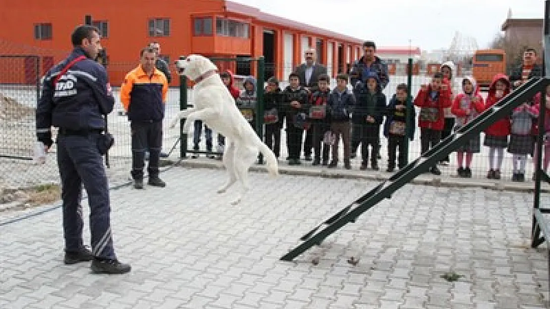 Köpekli Arama Timi Sınavı Afyon'da yapılacak