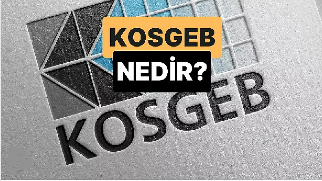 KOSGEB Nedir ?