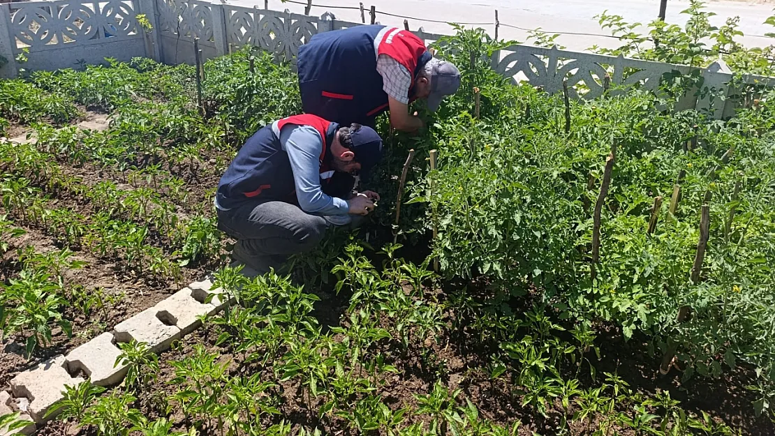 Küçük Ölçekli Üreticilere Destek Veriyor