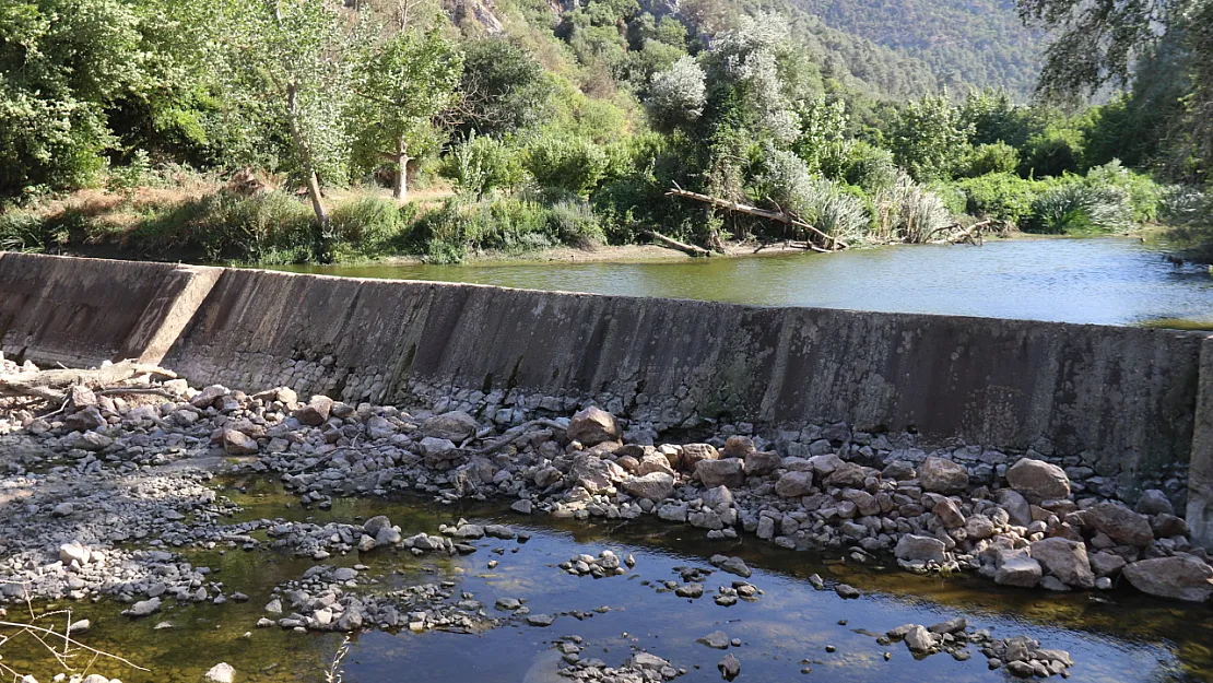 Kuraklık Ve Orman Yangınları Düzmeşe Benti'nin Adeta Kuruttu