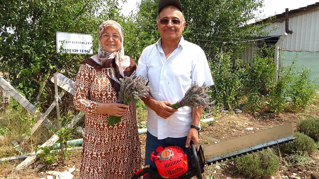 Lavanta Bahçesinde Hasat Başladı