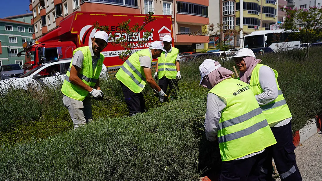 Lavantalardan Bu Yıl Da Organik Ürünler Üretilecek