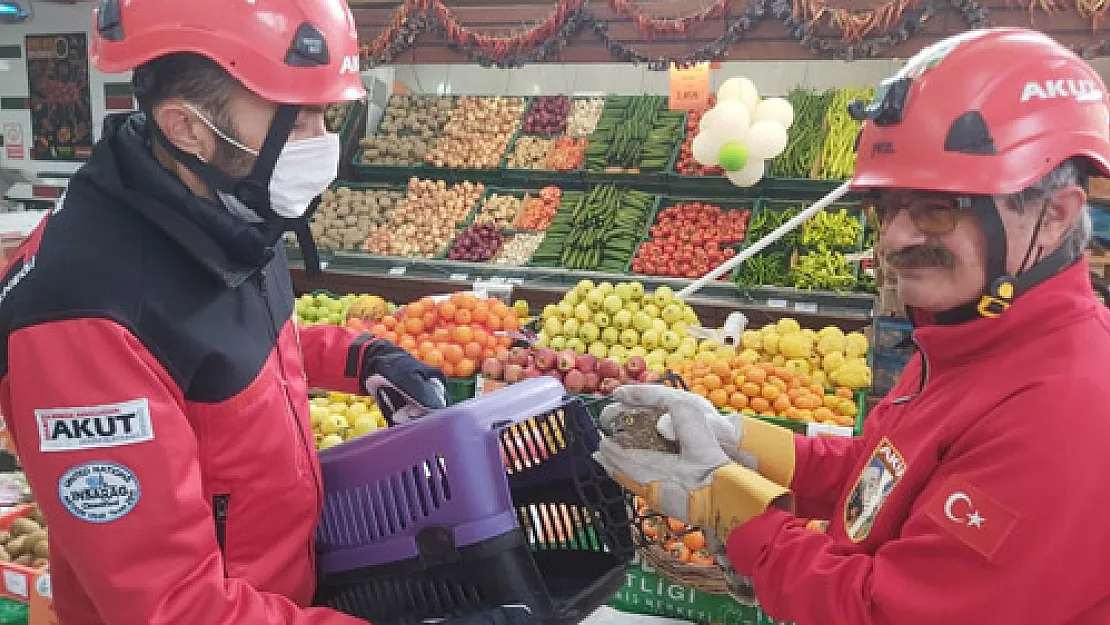 Markete giren atmacayı AKUT ekibi yakaladı