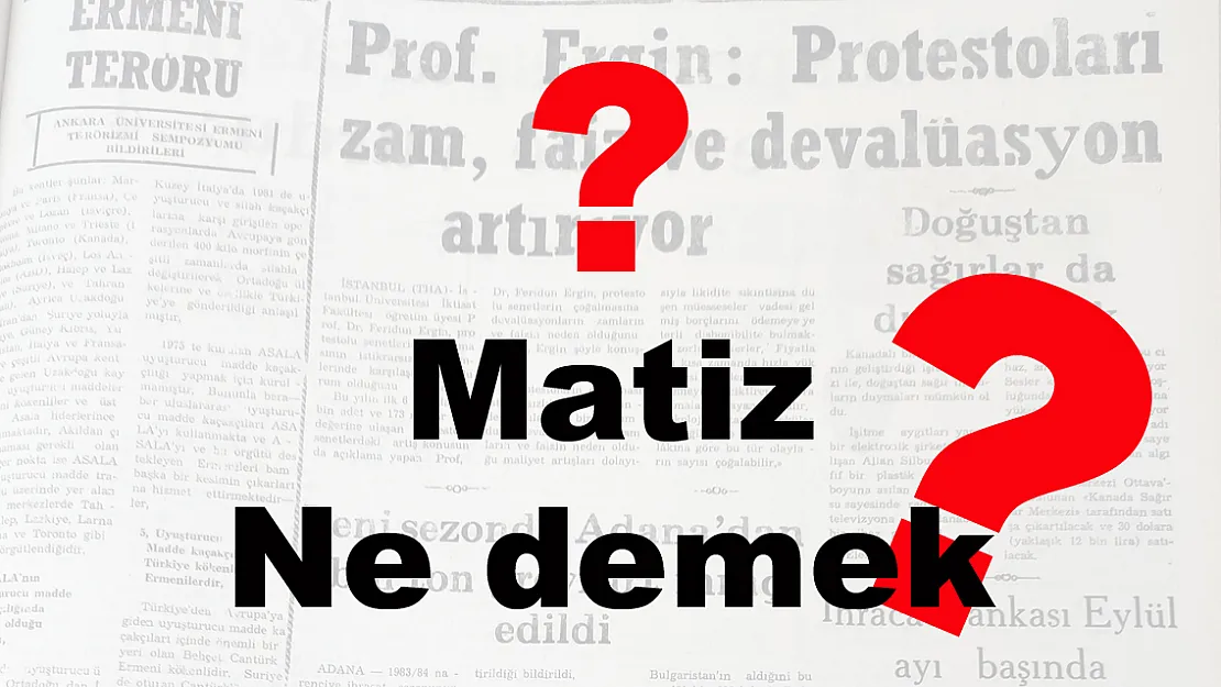 Matizm ne demer? Matiz ne demek? TDK’daki sözlük anlamı nedir?