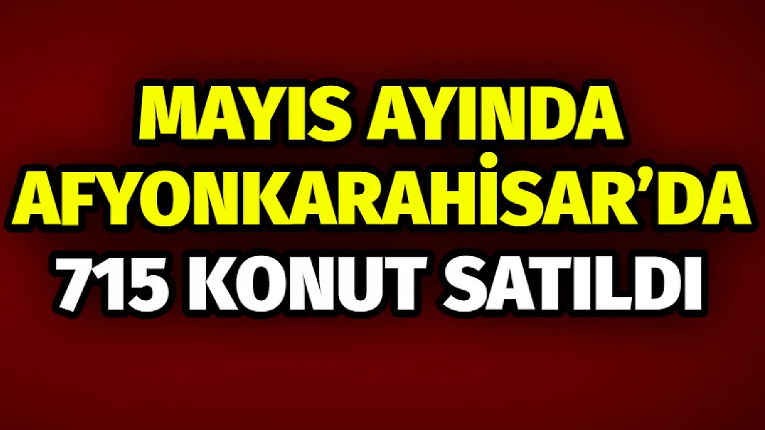 Mayıs Ayında Afyonkarahisar'da 715 Konut Satıldı