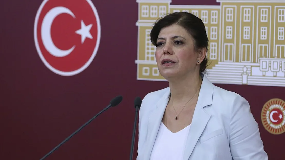 Meral Danış Beştaş'dan Demirtaş Yanıtı