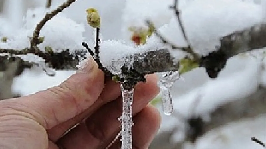 Meteoroloji’den zirai don uyarısı