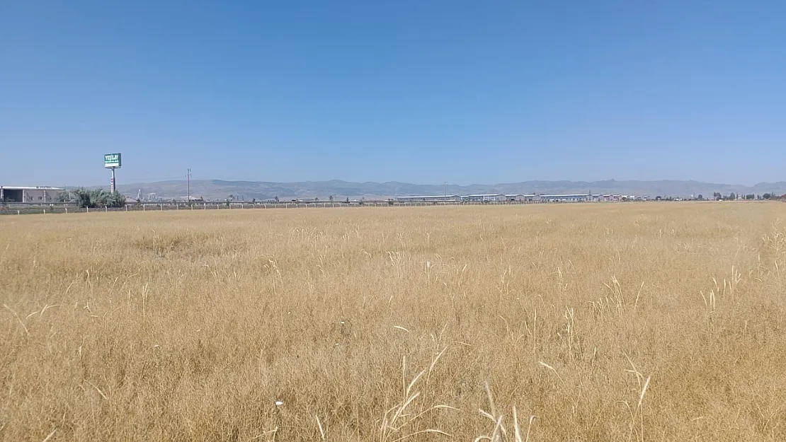 Milli Emlak'tan Alındı, Reklam İçin Kullanıldı! Dev Arazide Yaprak Kımıldamıyor