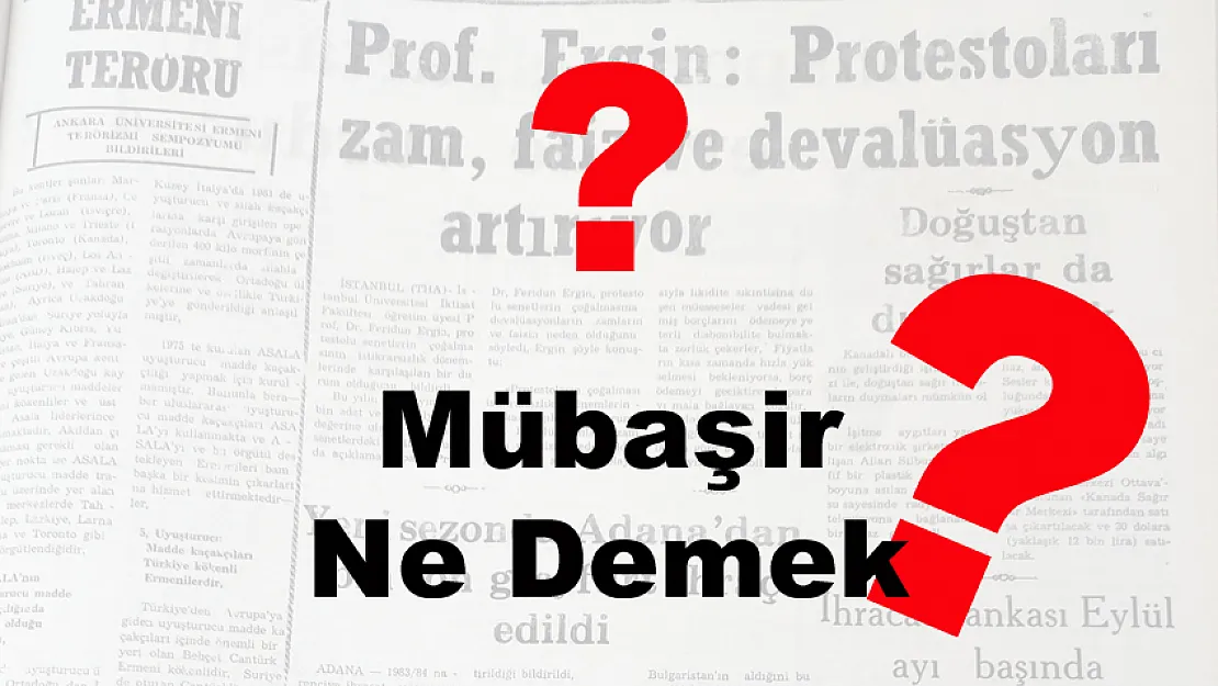 Mübaşir Ne Demek?