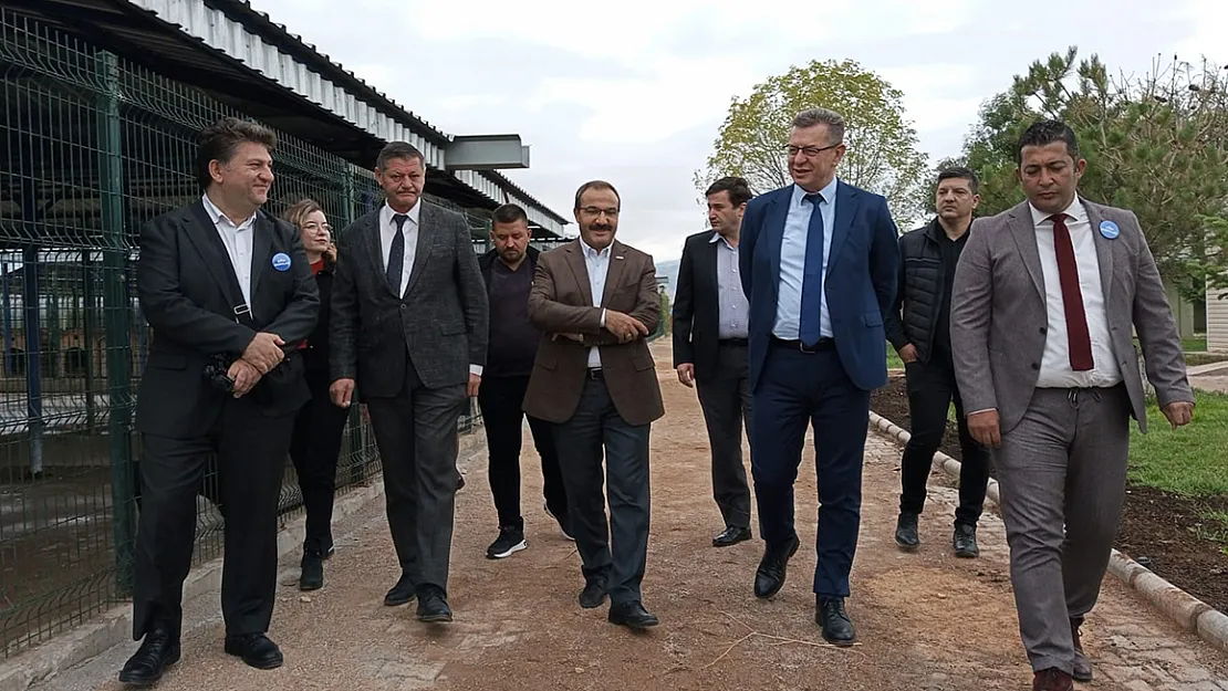 OEDAŞ’tan Can Dostlara tedavi odası