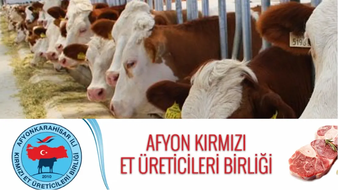 OLAĞAN GENEL KURUL İLANI – Kocatepe Gazetesi