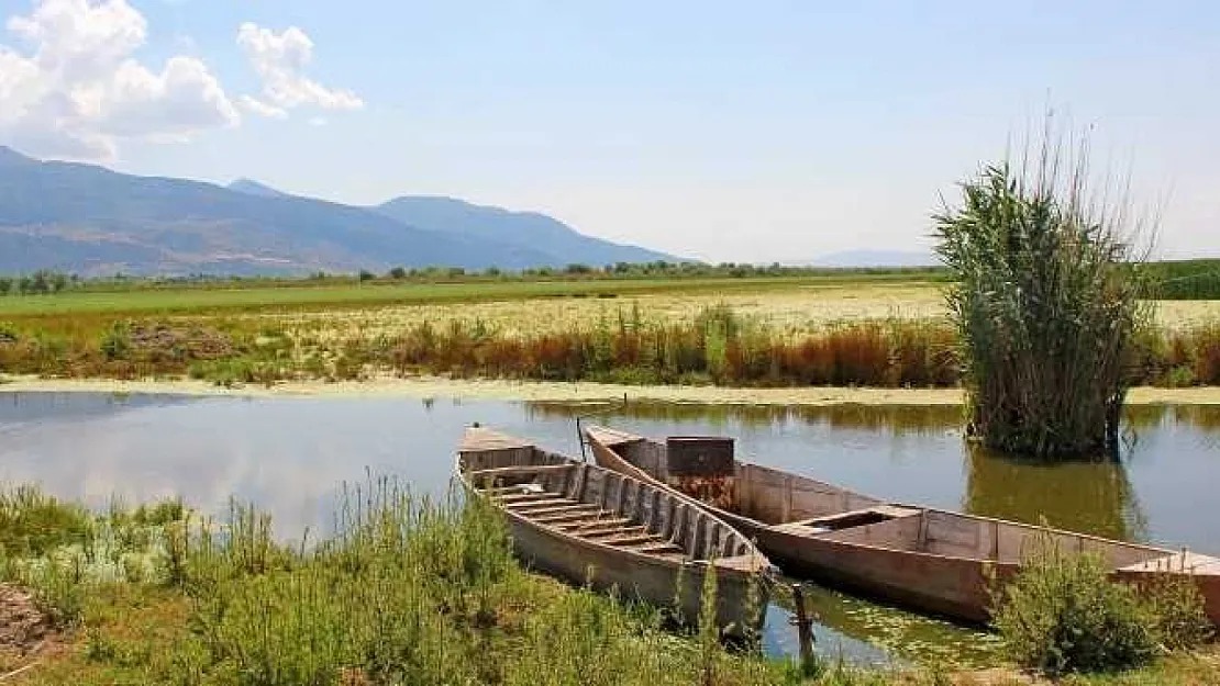 Olgun: Eber Gölü Hâlâ Can Çekişiyor