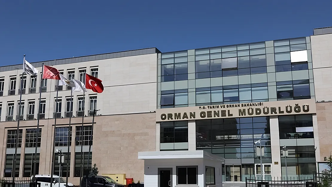 Orman Genel Müdürlüğü'ne Yüzlerce İşçi Alınacak