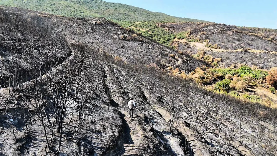 Orman Yangını Sonrası Yürek Burkan Manzara Havadan Görüntülendi