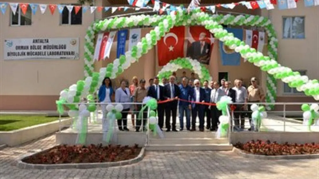 Orman zararlıları ile mücadele ediliyor