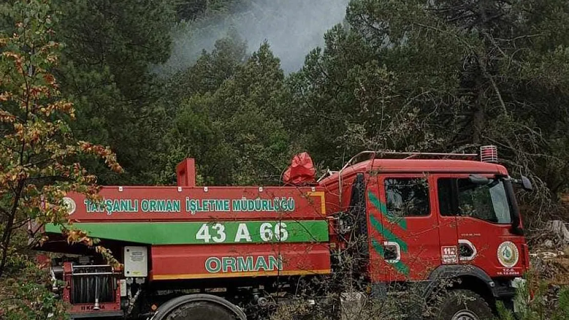 Ormanlık Alana Düşen Yıldırım Yangına Neden Oldu