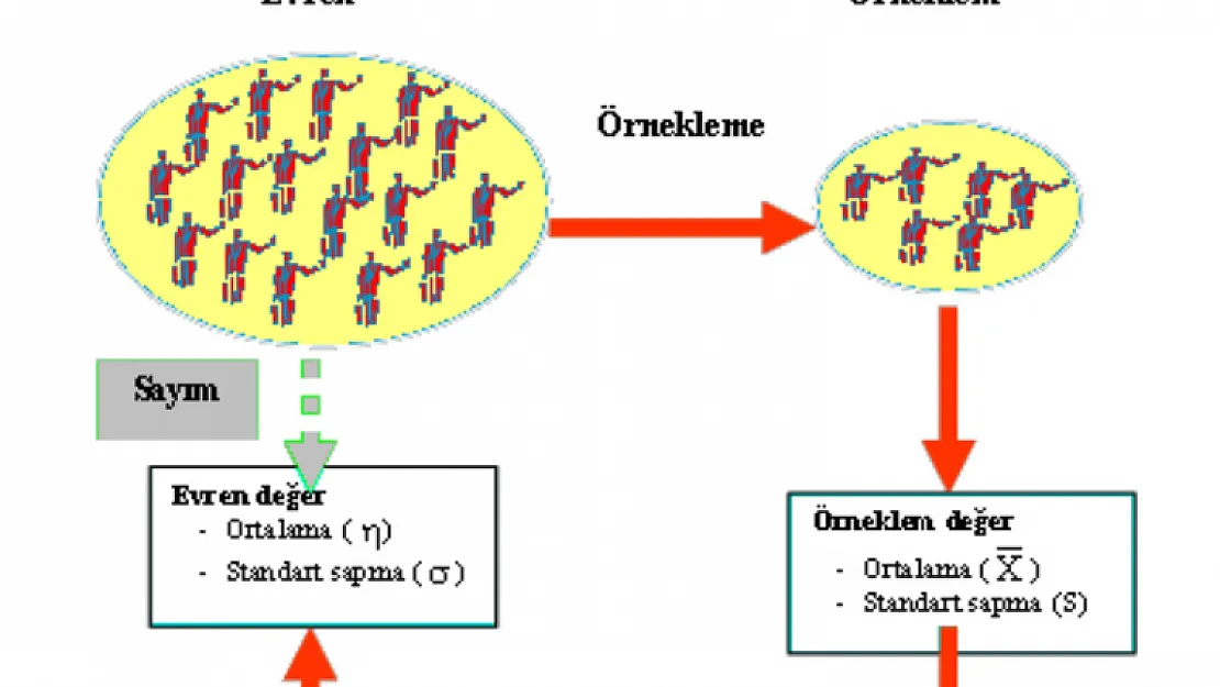 Örnekleme Yöntemleri Nedir