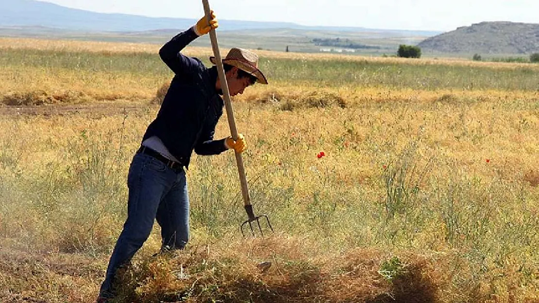 Paralar Çiftçilerin Hesabına Yatırıldı