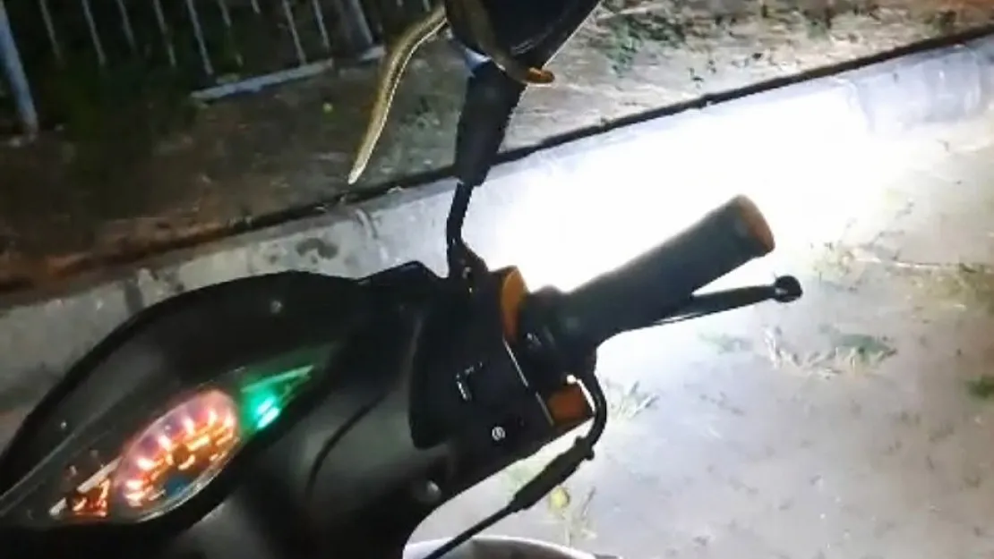 Park Halindeki Motosiklette Yılan Paniği