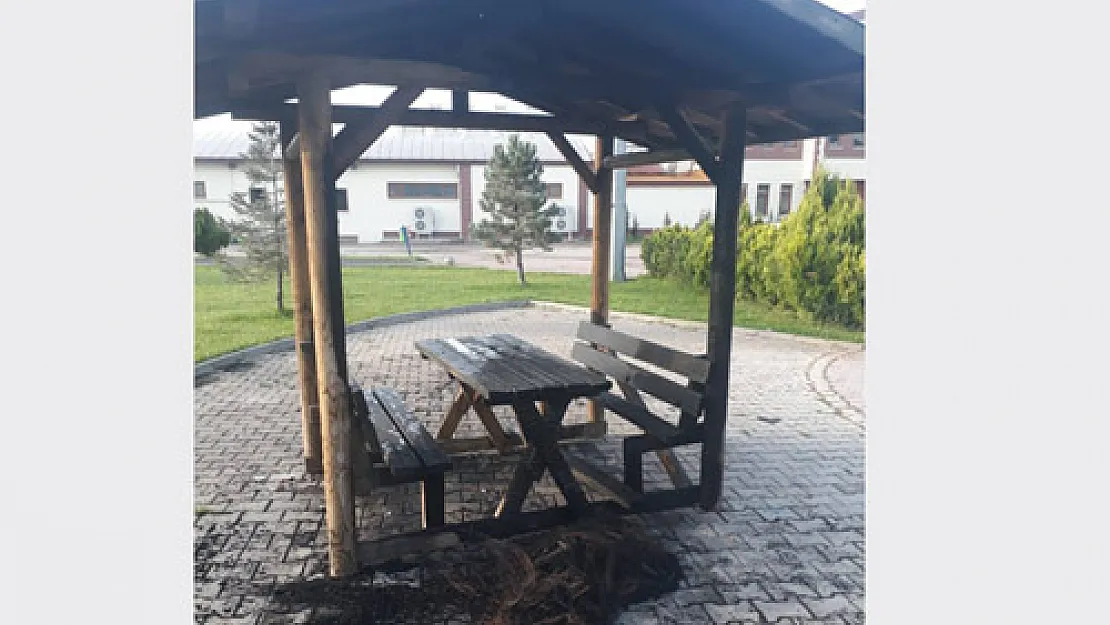 Parktan ne istediniz?
