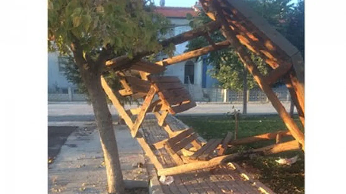 Parktan ne istediniz? – Kocatepe Gazetesi