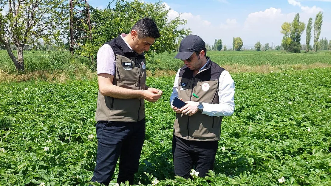 Patates üreticilerine o hastalığa karşı dikkatli olun uyarısı