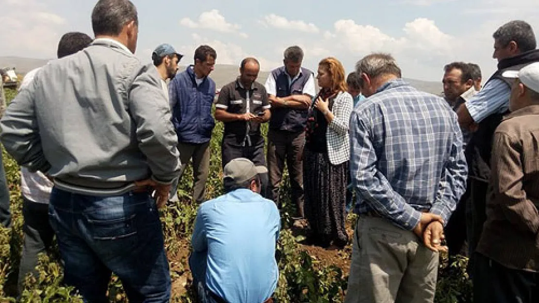 “Patates üreticilerinin çilesi bitmiyor”