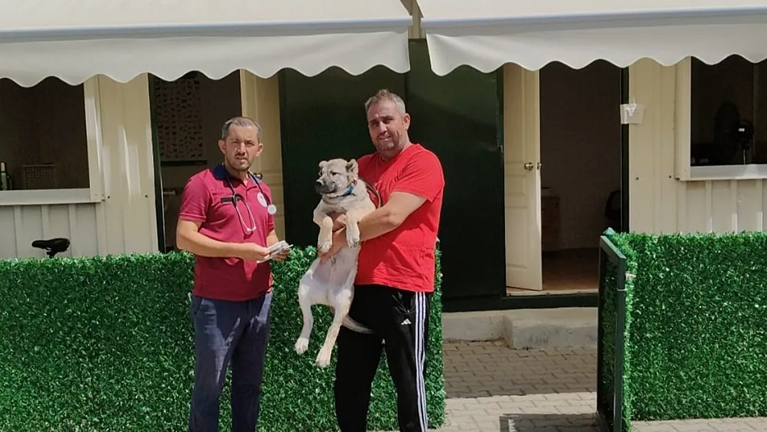 Patili Canlar Bu Merkezde Kimliklediriliyor