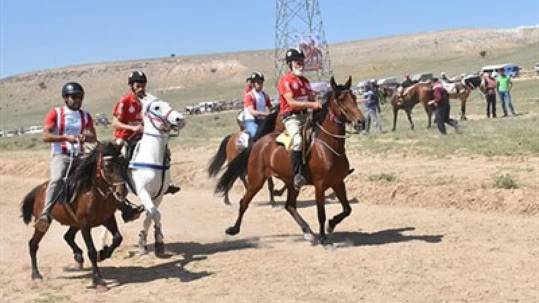 Rahvan At Yarışları Dazkırı'da yapılacak