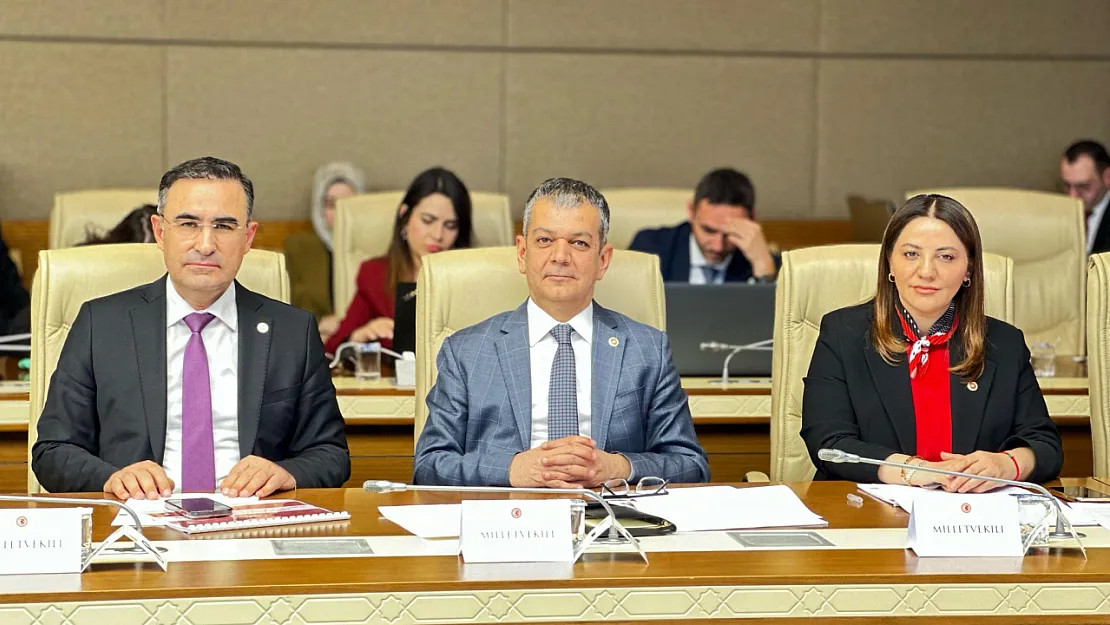 'Sağlıktaki Tehditlere Karşı Eksiksiz Bir Mevzuat Hazırlıyoruz'