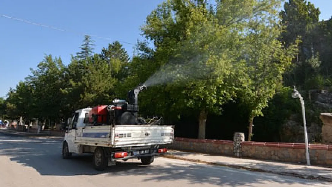 Sandıklı Belediyesi ilaçlama çalışmaları yürütüyor