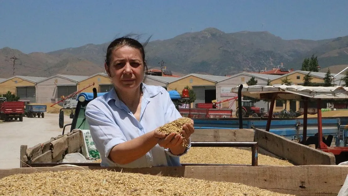 Sandıklı'da arpa üreticileri, alım fiyatlarına tepki gösterdi