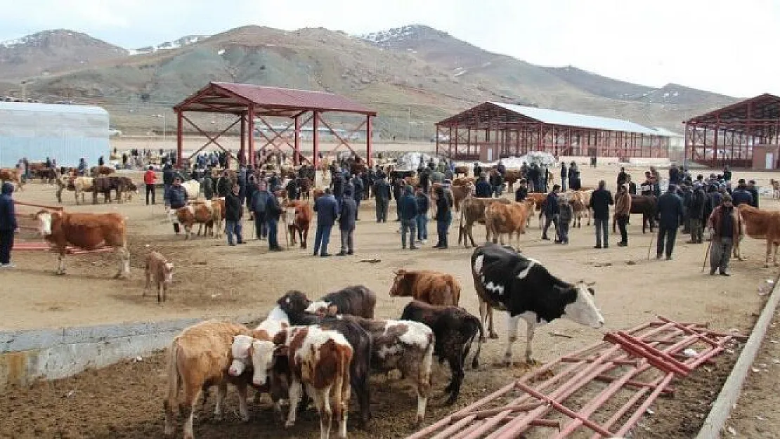 Sandıklı'da canlı hayvan pazarı şap hastalığı nedeniyle kapatıldı