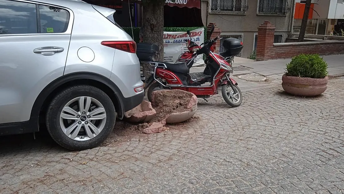 Şanssız beton saksı yine hedef oldu