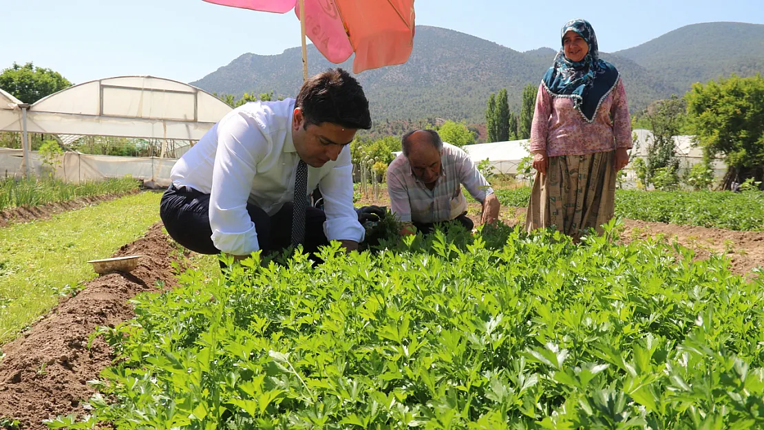 Sarıcakaya Kaymakamı Kolları Sıvayıp Hasat İçin Tarlaya Girdi