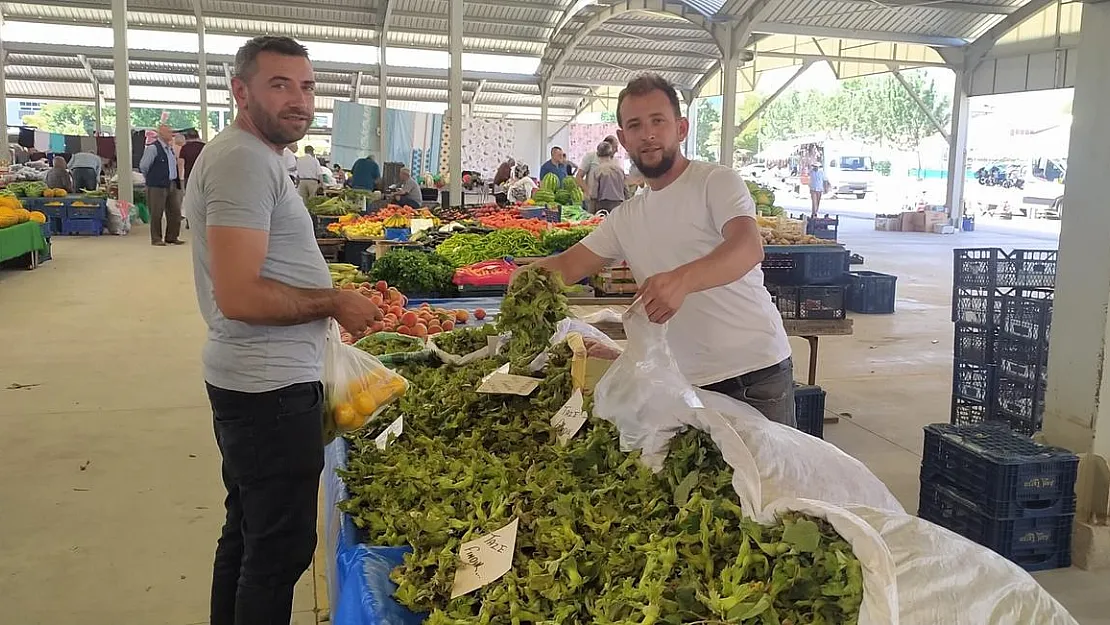 Satışa sunulan yaş fındık kapışılıyor