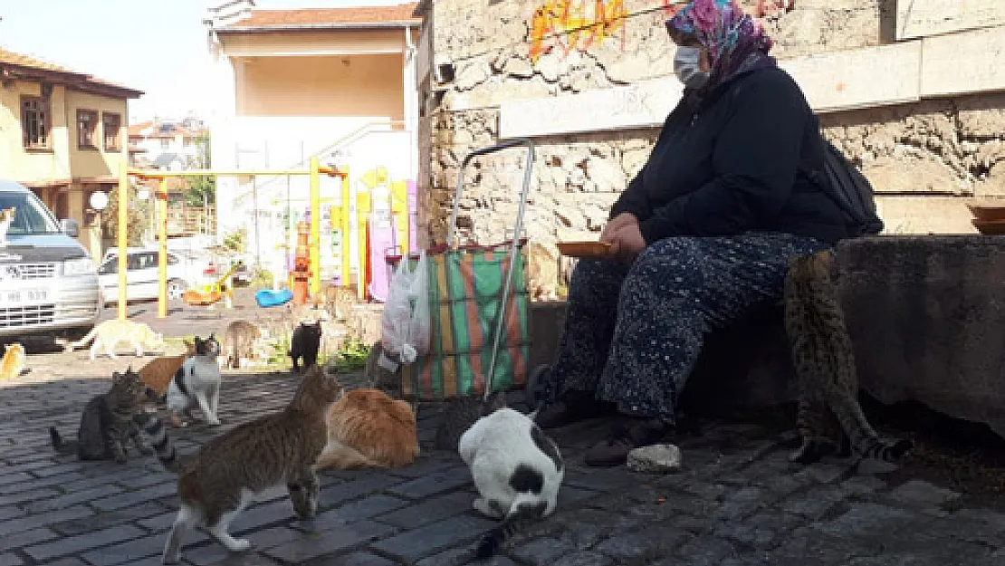 Sigaradan vaz geçti, kedilerinden vaz geçmedi